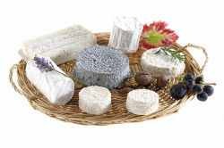 Plateaux de fromages à Avranches